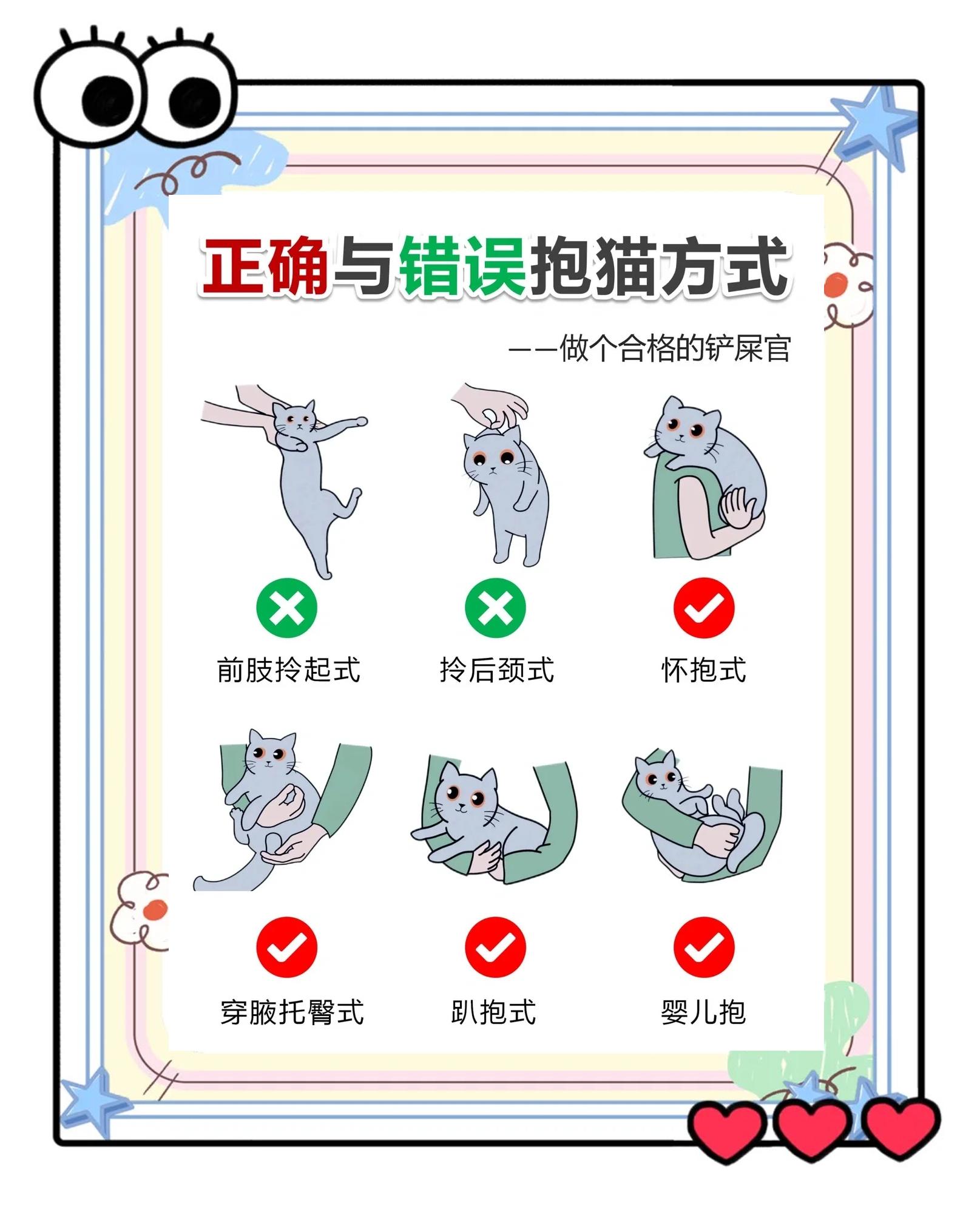 关于艹猫手机版运行教程的信息-第2张图片-太平洋在线下载